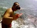tyson pescatore 1