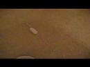 Roomba 510