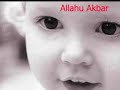 Al Afasy , surate al-Balad,