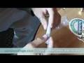 Holland Hemp Soft Drugs Coffee Shops Video by Eurobookings