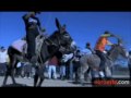 Carrera de Burros