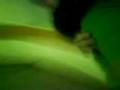 MOV00815.3gp