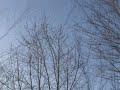 Leipzig im Winter! (Clueso - "Barfuss")