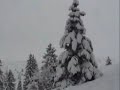 Le Corps Mince de Françoise feat. Norman Palm - Ray Ban Glasses (Winter Mix)