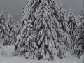 Le Corps Mince de Françoise feat. Norman Palm - Ray Ban Glasses (Winter Mix)