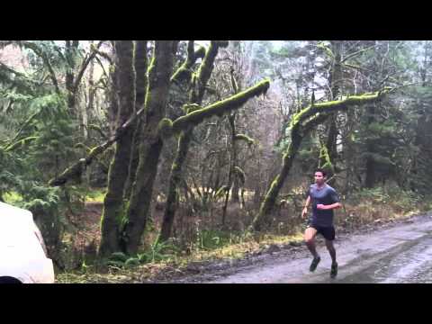 how to train for a 100 mile ultramarathon