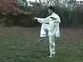 Taiji: Compact Tai Chi 2 (yang chen sun wu)