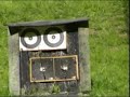 Archery