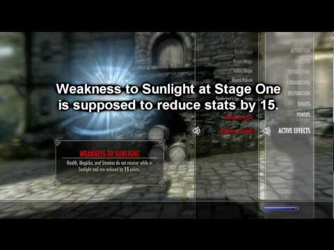 vampire hunter skyrim build vampire hunter skyrim build