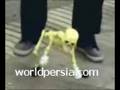 raghse sklet ba sher khandedar www.worldpersia.com