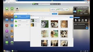 INSTALAR AIRDROID EN TU PC