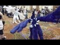 Lugia vs Shadow Lugia - A-kon 22