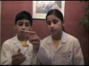 Electroscope  ??????? ???