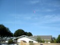 Reenas GWS Gold fish 1st flight
