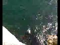 65 ft cliff dive