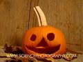 [季節] 山の手線でハローウィン祭り勃発!?