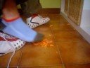 masterC - STOMPING YOUR CARROT masterC - STOMPING YOUR CARROT