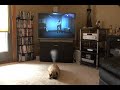 What Max REALLY does all day!