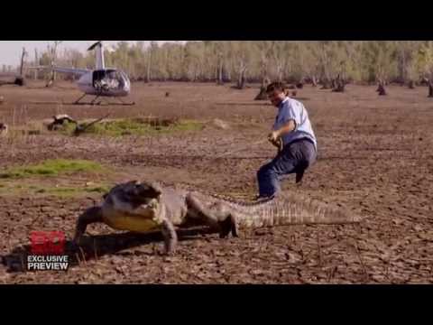 8.30 SUNDAY | The Croc Wrangler