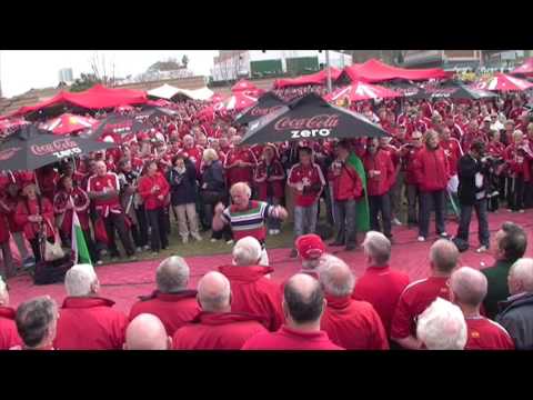 Camiseta gigante de los Leones en Ellis Park