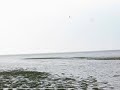 Bio Field Trip 2