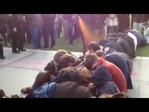 Bekijk hier de video