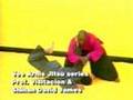Vee-Arnis-Jitsu