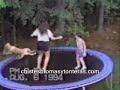 Animales chistosos