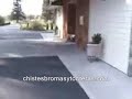 Animales chistosos