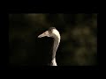 Birdwatchers in Spain