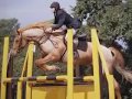 Me n Clare Riding Ben n Ivor n other random times.