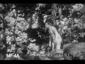 Flame of the Pacific, 1934