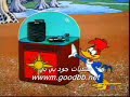 والتمساح