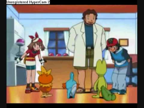 torchic