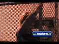 Clip Lauren Holly Leaving The Green Door Video