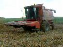 Axial 2388. Axial 2388.