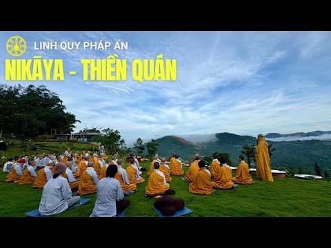 NIKAYA Thiền Quán - Tưởng Niệm Ân Đức Bậc Đạo Sư & Đau Lòng Đom Đóm *