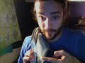 Matt Cross Footbag - Adidas Rod Laver Modification Tutorial Matt Cross Footbag - Adidas Rod Laver Modification Tutorial
