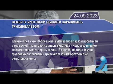 Новостная лента Телеканала Интекс 24.09.23.