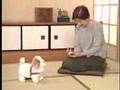 日本直販 愛犬ロボ「てつ」
