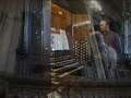 der organist thomas rothfu� spielt 