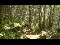 Next Generation MTB Trails With IMBA and the BLM - 