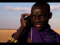 national geographic wild chronicles : maasai lion massacre