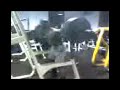 Squatting 505lbs at 240lb bodyweight