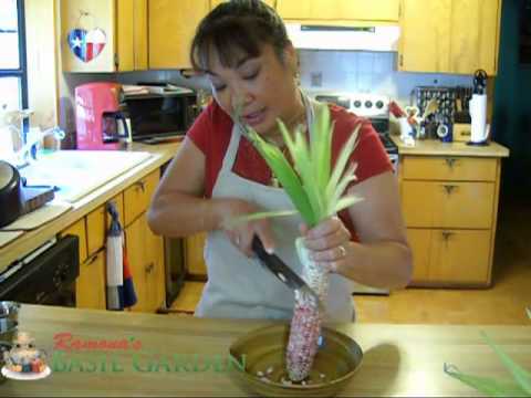 how to harvest globe basil