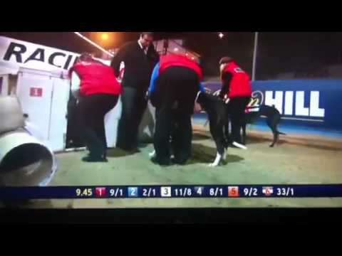 racing post racing post