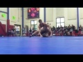 Click here to watch this video The real New England Champ