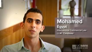 Student Testimonial: Mohamed, LL.M. Candidate (Egypt)