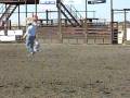 videos de goats 8.08.MOV