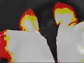 Thumbnail #3
